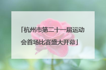 杭州市第二十一届运动会首场比赛盛大开幕
