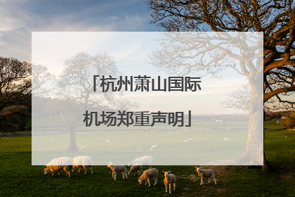 杭州萧山国际机场郑重声明