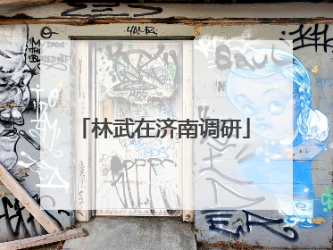 林武在济南调研