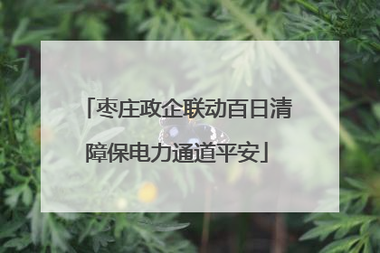 枣庄政企联动百日清障保电力通道平安