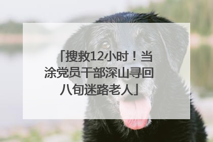 搜救12小时！当涂党员干部深山寻回八旬迷路老人