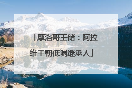 摩洛哥王储：阿拉维王朝低调继承人