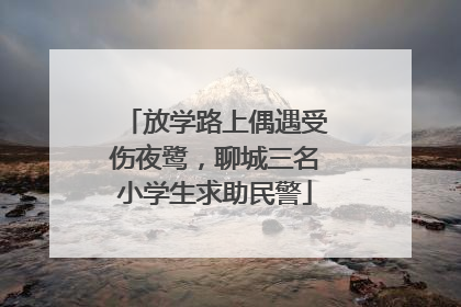 放学路上偶遇受伤夜鹭，聊城三名小学生求助民警