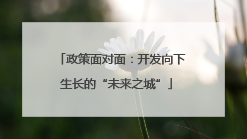政策面对面：开发向下生长的“未来之城”