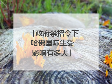政府禁招令下 哈佛国际生受影响有多大