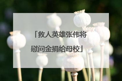 救人英雄张伟将慰问金捐给母校