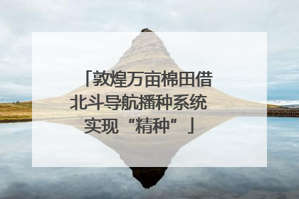 敦煌万亩棉田借北斗导航播种系统实现“精种”