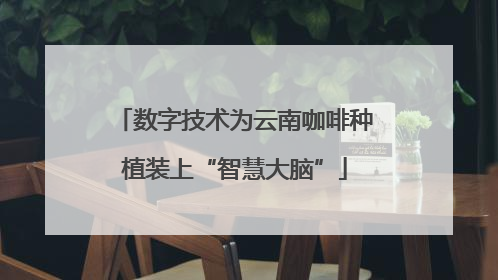数字技术为云南咖啡种植装上“智慧大脑”