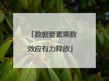 数据要素乘数效应有力释放