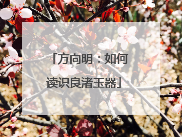 方向明：如何读识良渚玉器