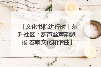 文化书院进行时｜东升社区：葫芦丝声韵悠扬 奏响文化和谐曲