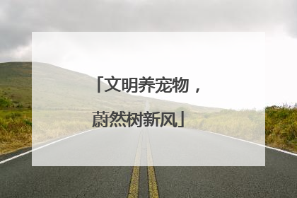 文明养宠物，蔚然树新风