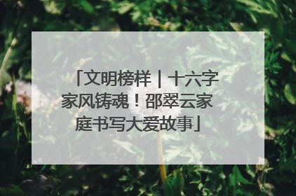 文明榜样｜十六字家风铸魂！邵翠云家庭书写大爱故事