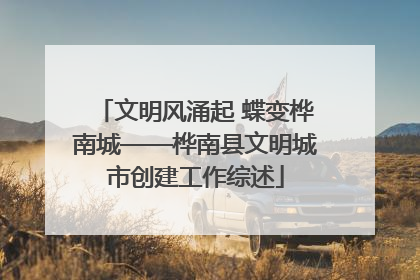 文明风涌起 蝶变桦南城——桦南县文明城市创建工作综述