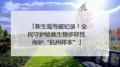 新生鸳鸯破纪录！全民守护绘就生物多样性保护“杭州样本”
