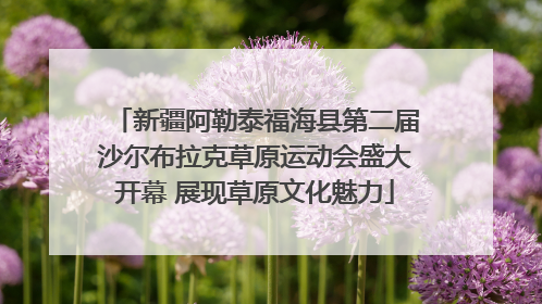 新疆阿勒泰福海县第二届沙尔布拉克草原运动会盛大开幕 展现草原文化魅力