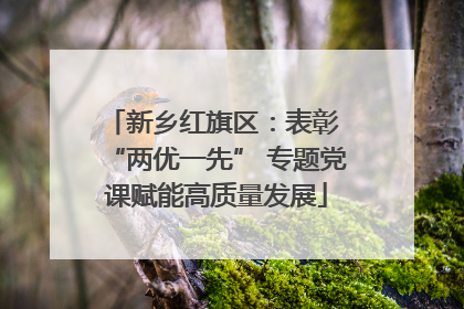 新乡红旗区：表彰 “两优一先” 专题党课赋能高质量发展
