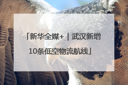 新华全媒+｜武汉新增10条低空物流航线