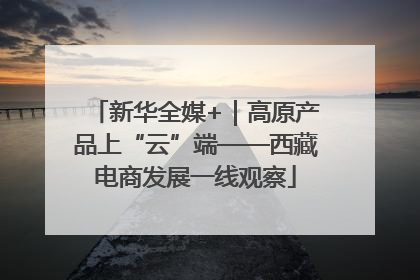 新华全媒+｜高原产品上“云”端——西藏电商发展一线观察