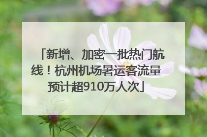 新增、加密一批热门航线！杭州机场暑运客流量预计超910万人次
