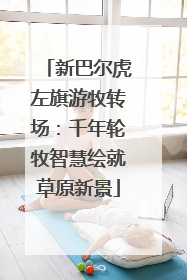 新巴尔虎左旗游牧转场：千年轮牧智慧绘就草原新景