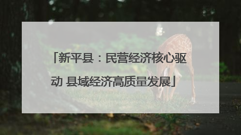 新平县：民营经济核心驱动 县域经济高质量发展