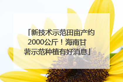 新技术示范田亩产约2000公斤！海南甘薯示范种植有好消息