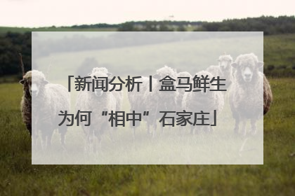 新闻分析丨盒马鲜生为何“相中”石家庄