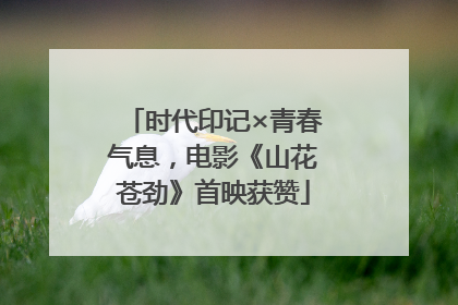 时代印记×青春气息，电影《山花苍劲》首映获赞