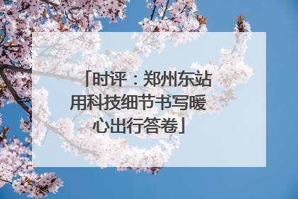 时评：郑州东站用科技细节书写暖心出行答卷