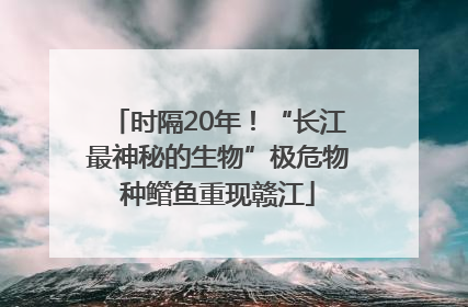 时隔20年！“长江最神秘的生物”极危物种鳤鱼重现赣江
