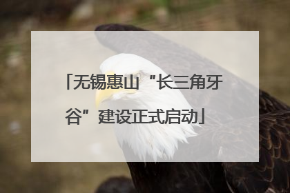 无锡惠山“长三角牙谷”建设正式启动