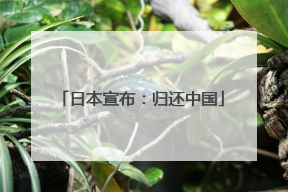日本宣布：归还中国