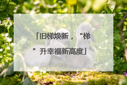 旧梯焕新，“梯”升幸福新高度
