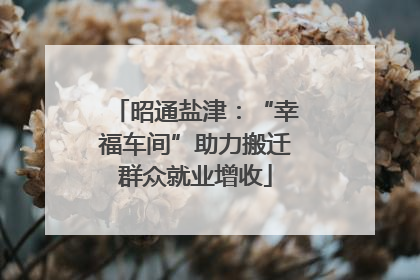 昭通盐津：“幸福车间”助力搬迁群众就业增收