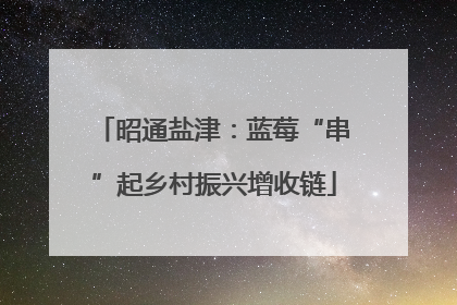 昭通盐津：蓝莓“串”起乡村振兴增收链