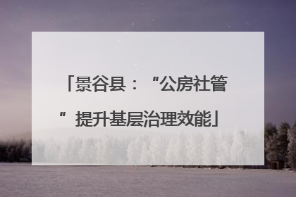 景谷县：“公房社管”提升基层治理效能