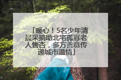 暖心！5名少年清晨采摘助北宅孤寡老人售杏，多方善意传递城市温情