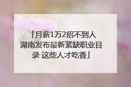 月薪1万2招不到人 湖南发布最新紧缺职业目录 这些人才吃香