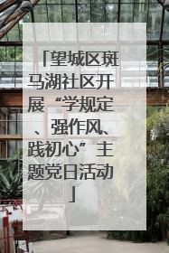 望城区斑马湖社区开展“学规定、强作风、践初心”主题党日活动