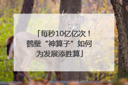 每秒10亿亿次！鹤壁“神算子”如何为发展添胜算