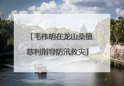 毛伟明在龙山桑植慈利指导防汛救灾