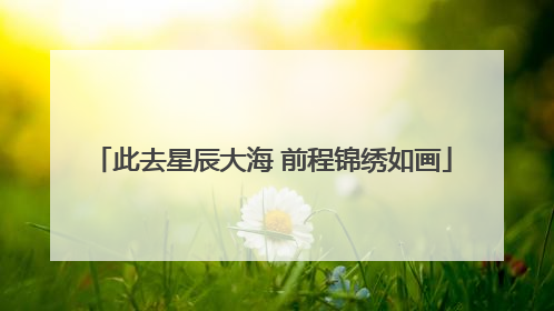 此去星辰大海 前程锦绣如画