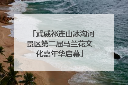 武威祁连山冰沟河景区第二届马兰花文化嘉年华启幕