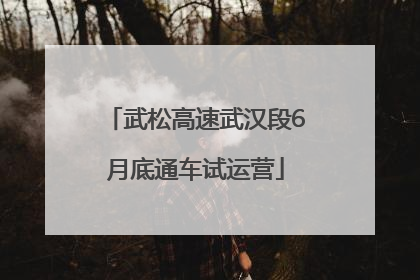 武松高速武汉段6月底通车试运营