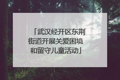 武汉经开区东荆街道开展关爱困境和留守儿童活动
