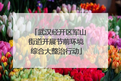 武汉经开区军山街道开展节前环境综合大整治行动