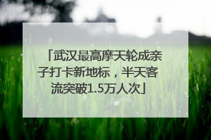 武汉最高摩天轮成亲子打卡新地标，半天客流突破1.5万人次
