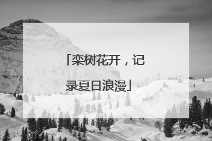 栾树花开，记录夏日浪漫