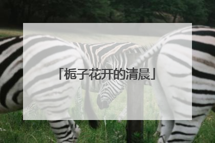 栀子花开的清晨